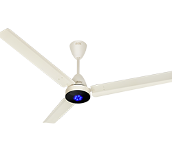 Ceiling Fan With Light